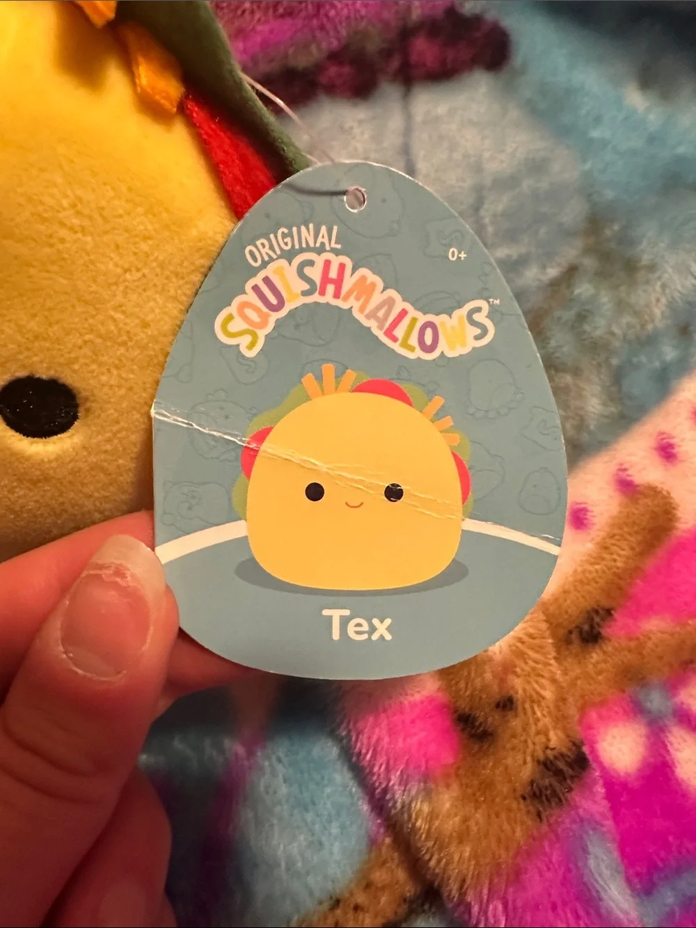 Squishmallows cute taco